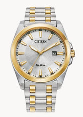 GTS. CITIZEN WATCH