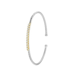 CHARLES GARNIER CHARLES GARNIER