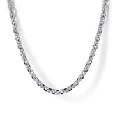 Silver Chain