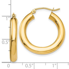 Gold Earring