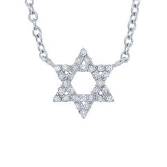 0.11ct 14k White Gold Diamond Star of David Necklace