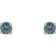 14K White 2.5 mm Natural Aquamarine Earrings