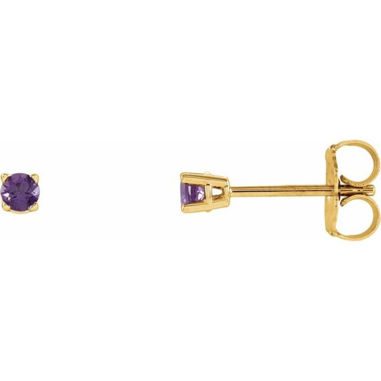 14K Yellow 2.5 mm Natural Amethyst Earrings