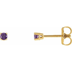 14K Yellow 2.5 mm Natural Amethyst Earrings