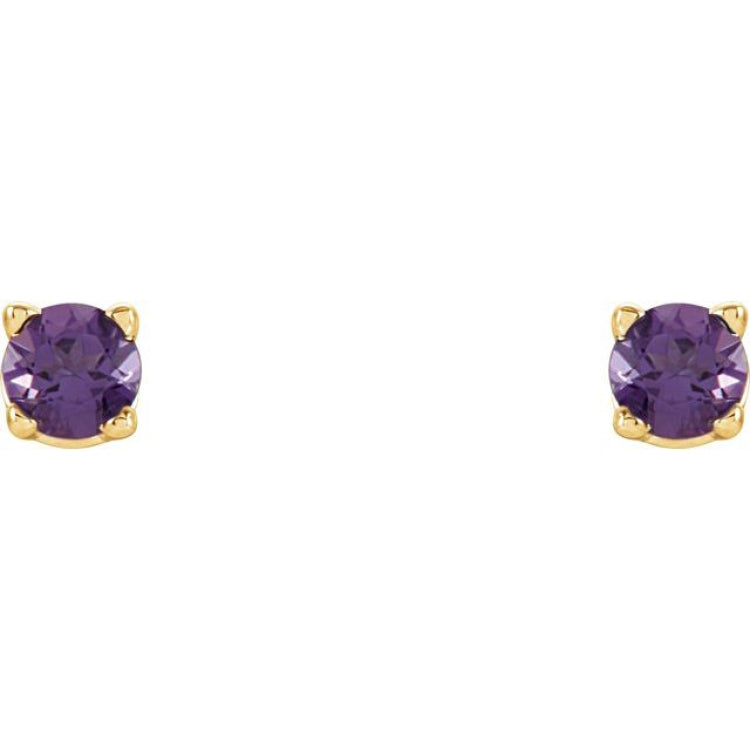 14K Yellow 2.5 mm Natural Amethyst Earrings