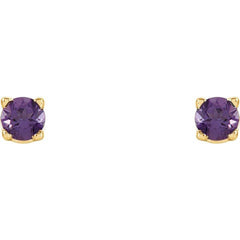 14K Yellow 2.5 mm Natural Amethyst Earrings