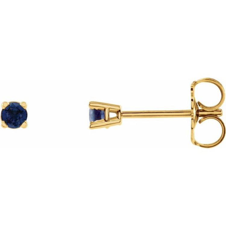14K Yellow 2.5 mm Natural Blue Sapphire Earrings