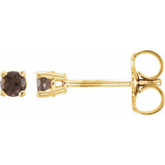 14K Yellow 2.5 mm Natural Smoky Quartz Earrings