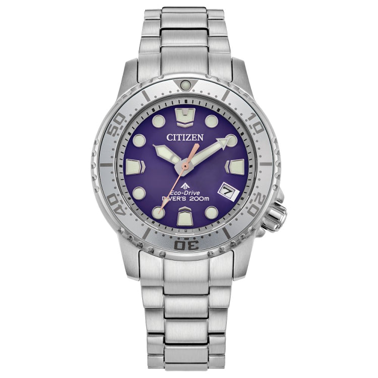 Citizen Stainless Steel Promaster Eco Ladies Watch