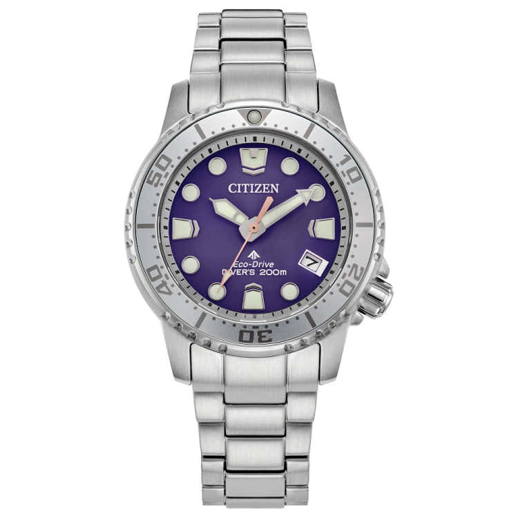 LAD ECO 200M SS BRAC PRPL