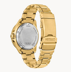 GTS. CITIZEN WATCH