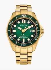 GTS. CITIZEN WATCH