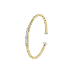 CHARLES GARNIER