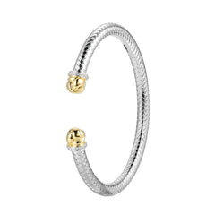 CHARLES GARNIER
