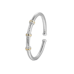 CHARLES GARNIER