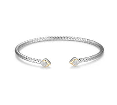 CHARLES GARNIER