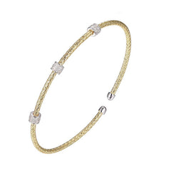 CHARLES GARNIER
