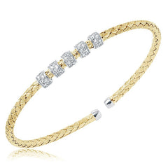 CHARLES GARNIER
