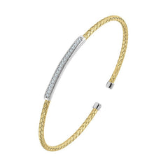 CHARLES GARNIER