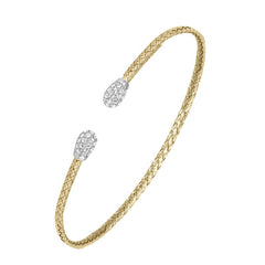 CHARLES GARNIER